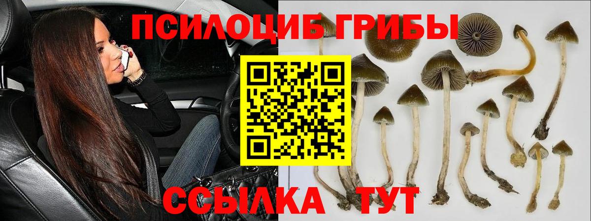 Галлюциногенные грибы ЛСД Вичуга