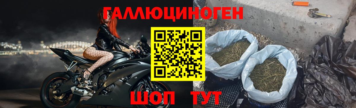 Вичуга  купить наркотики сайты  Вход с VPN  Галлюциногенные грибы мицелий 